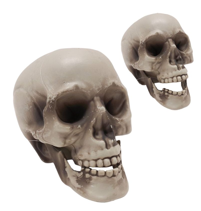 4&quot; Plastic Skull