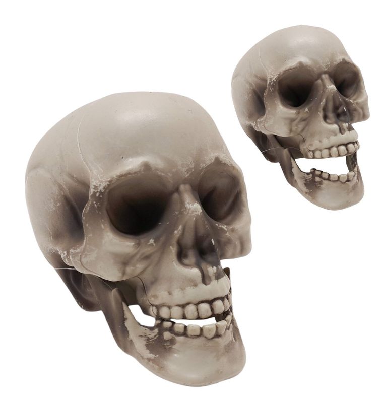 4&quot; Plastic Skull