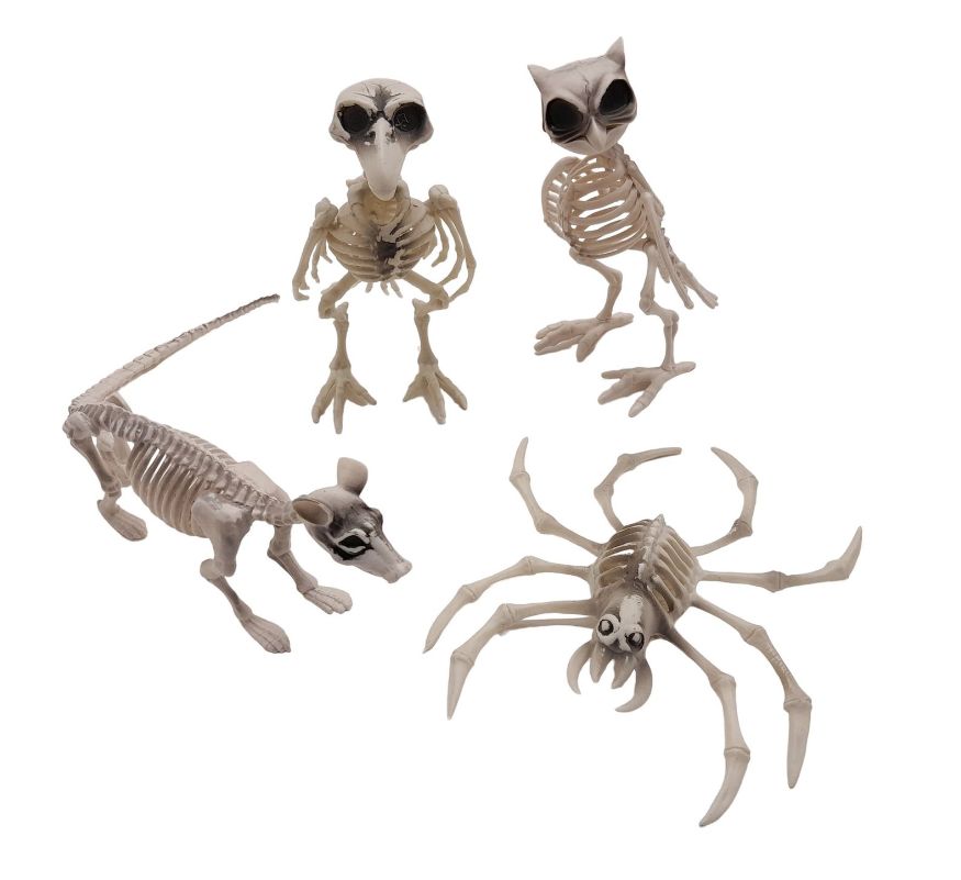 Plastic Animal Skeleton Assorted Plastic Animal Skeleton Assorted