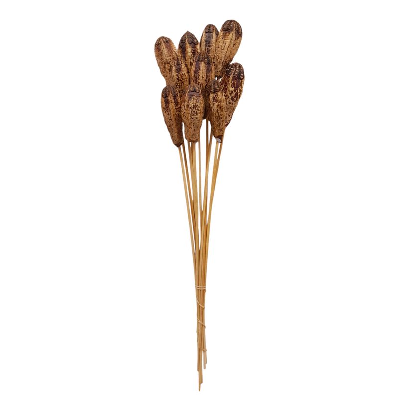 20&quot;-24&quot; Mahogany Pod Stem Bundle x10 w/1.5&quot;x3.5&quot; Pods Natural