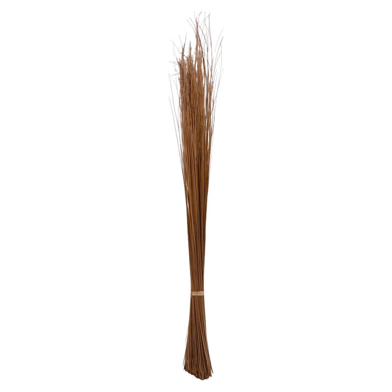 38&quot; Straight Ting 100 Stems Natural