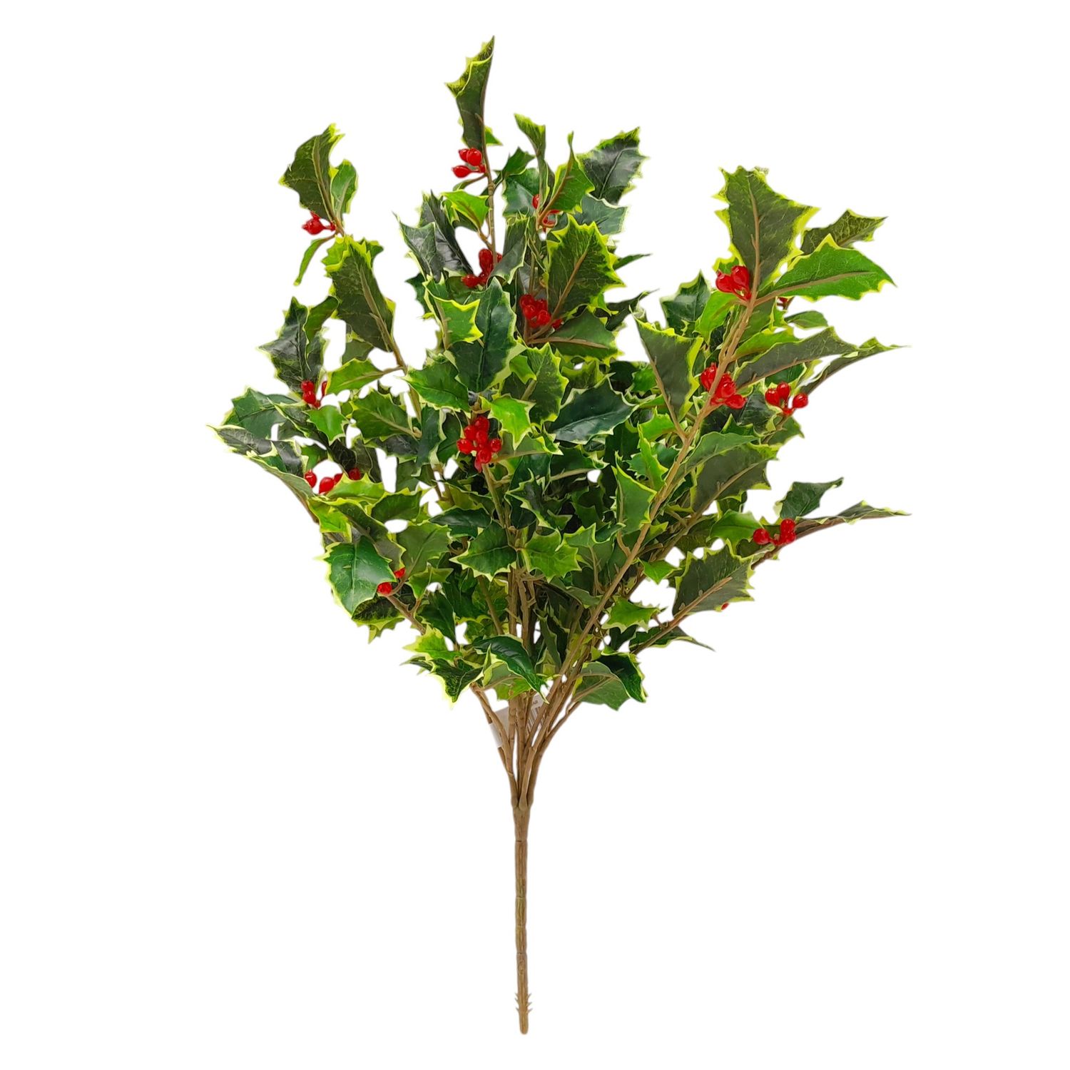 20" Holly Berry Bush w/267 Leaves Variegated