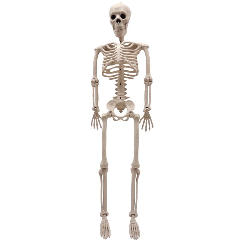 35&quot; Hanging Posable Skeleton