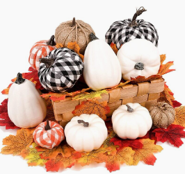 Thanksgiving/Fall