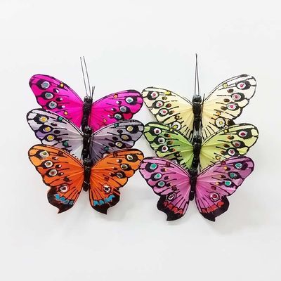 Birds, Butterflies &amp; Insects