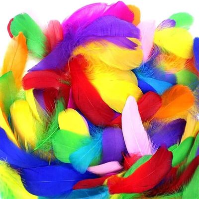 Feathers &amp; Boas