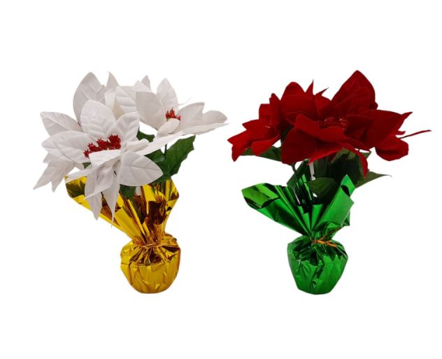 6&quot;x6&quot;x8&quot; Potted Poinsettia Assorted