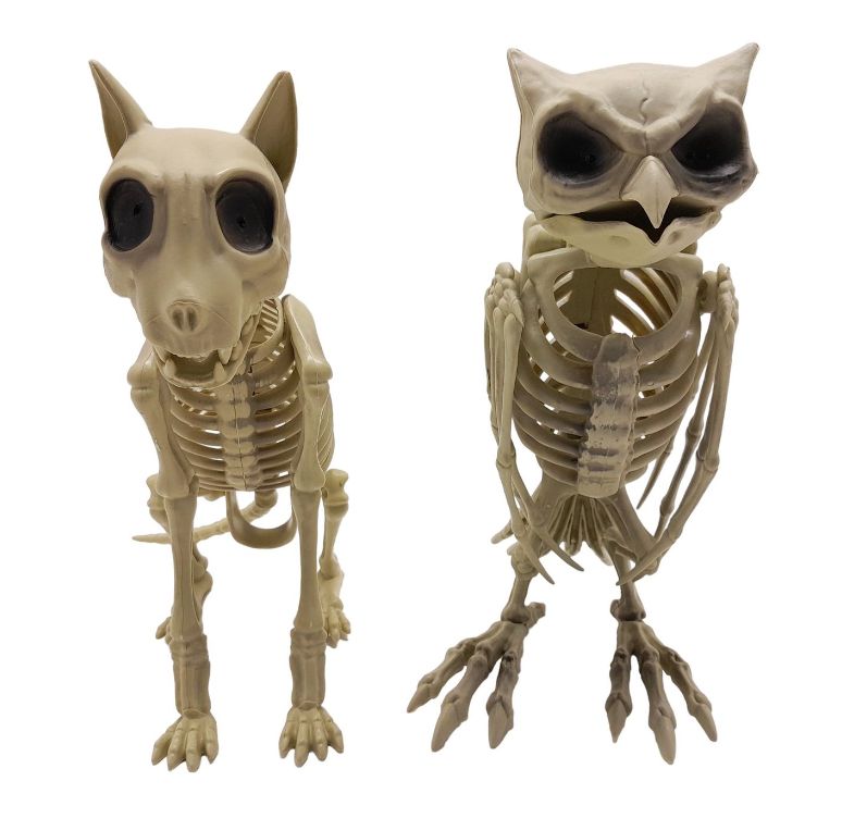 Animal Skeleton w/Red Light Up Eyes Assorted Animal Skeleton w/Red Light Up Eyes Assorted