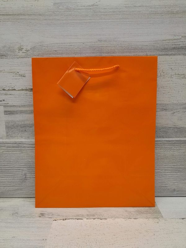 10.5&quot;x5.5&quot;x13&quot; Gift Bag Orange