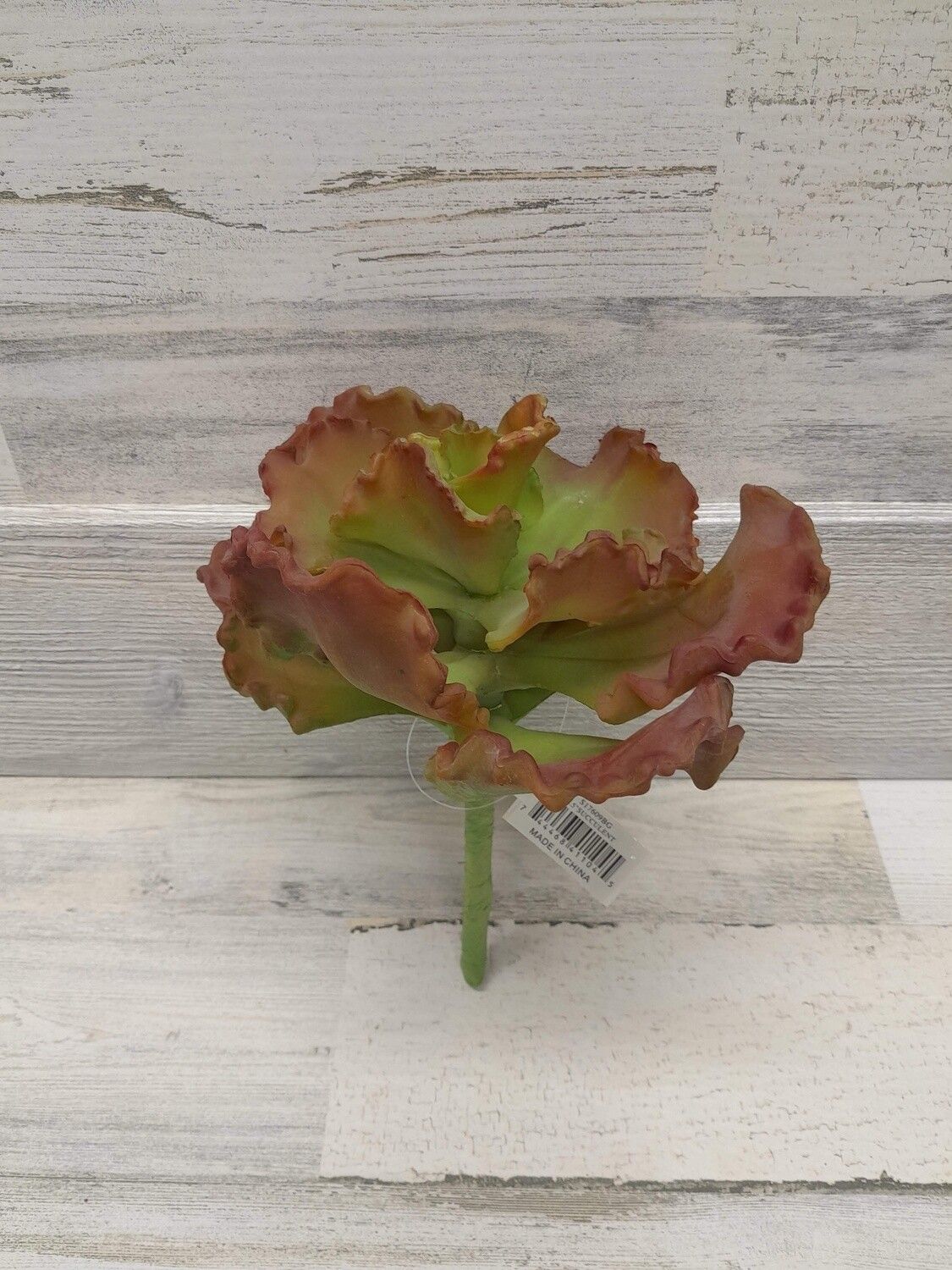 9.5&quot; Succulent  Pick