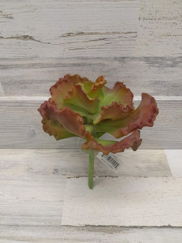 9.5&quot; Succulent  Pick