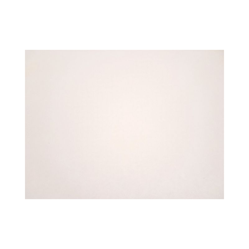 22&quot;x28&quot; Poster Board White