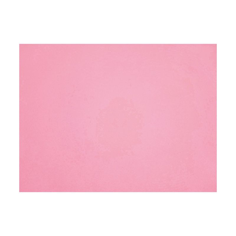22&quot;x28&quot; Poster Board Pink