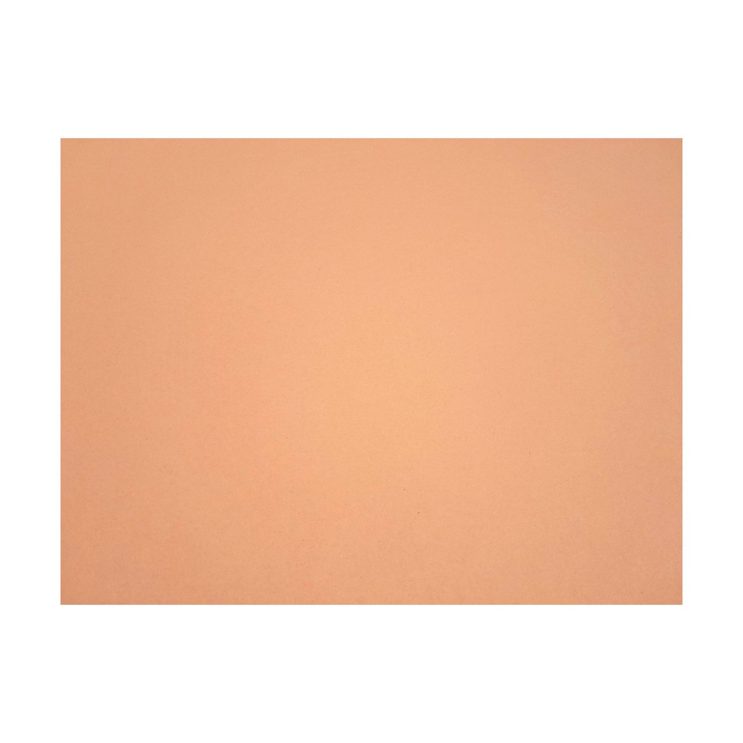 22&quot;x28&quot; Poster Board Orange