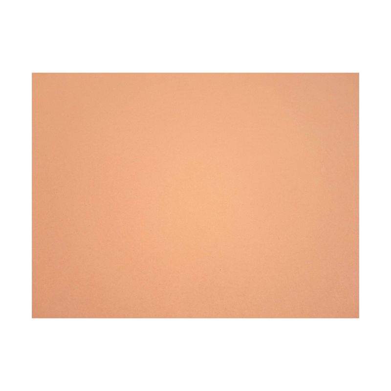 22&quot;x28&quot; Poster Board Orange