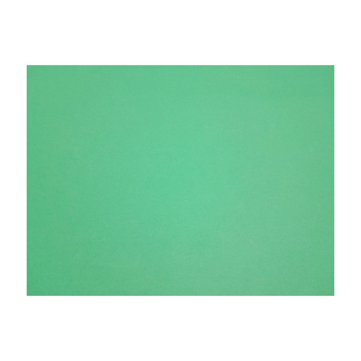 22&quot;x28&quot; Poster Board Green