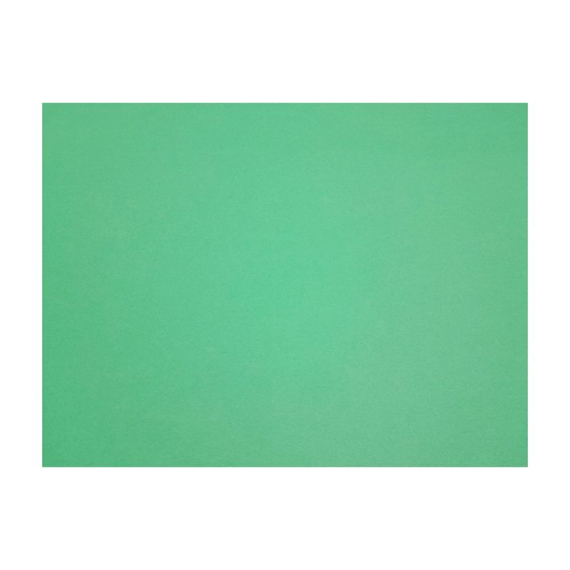 22&quot;x28&quot; Poster Board Green