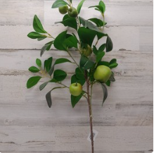 35&quot; Apple Spray Green