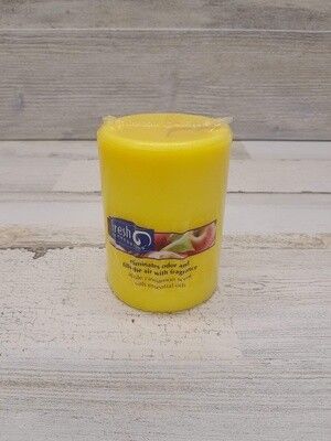 2.75&quot;x4&quot; Pillar Candle Cinnamon