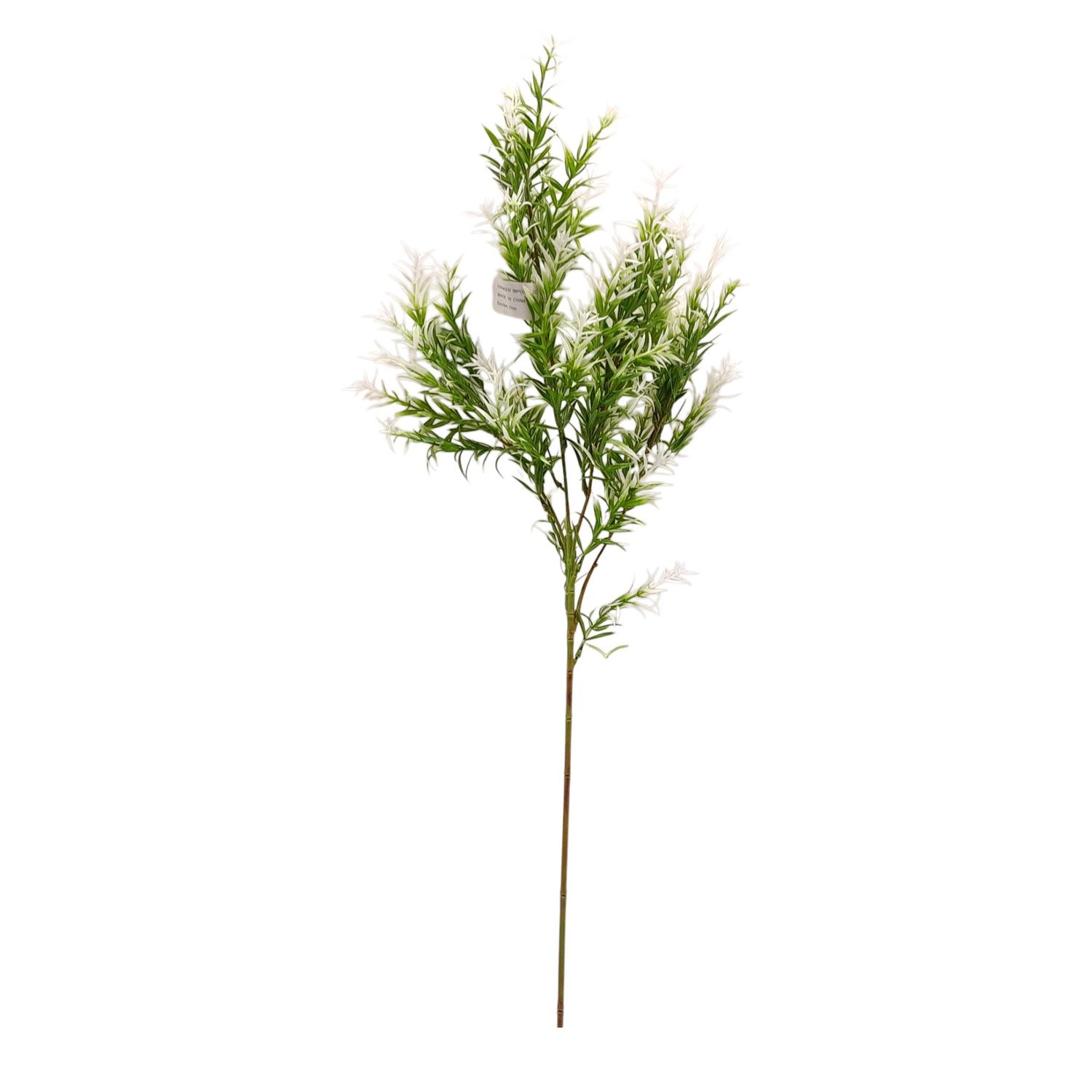 31" Sprengeri Grass Spray White/Green