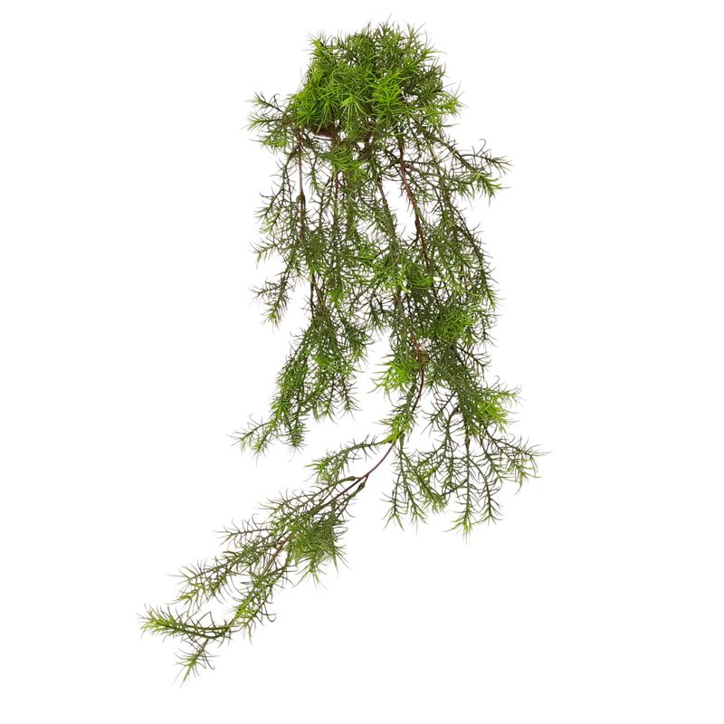 30&quot; Hanging Asparagus Fern Bush Green