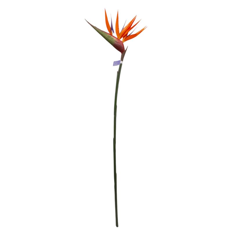 36&quot; Bird Of Paradise Stem