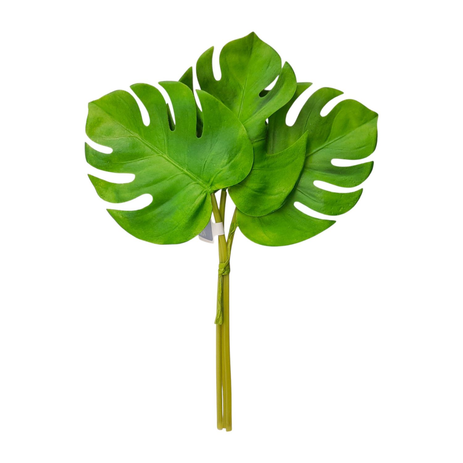 5.5" Soft Split Philodendron Leaf Bundle x3 Green