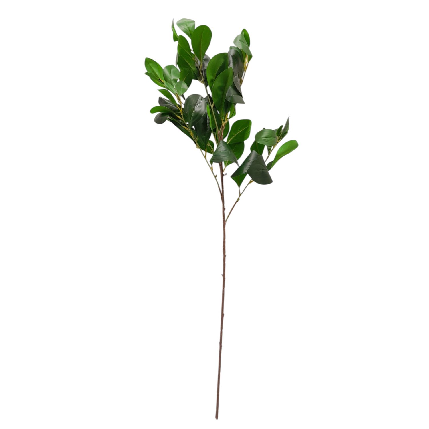 35" Ficus Leaf Spray