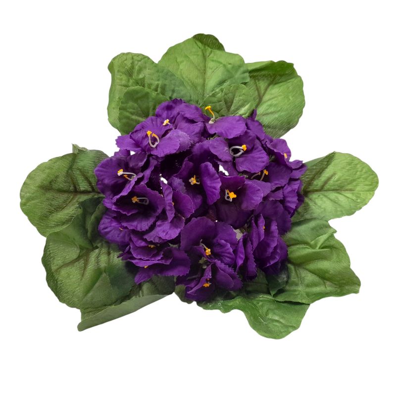 6&quot; African Violet Pick Purple