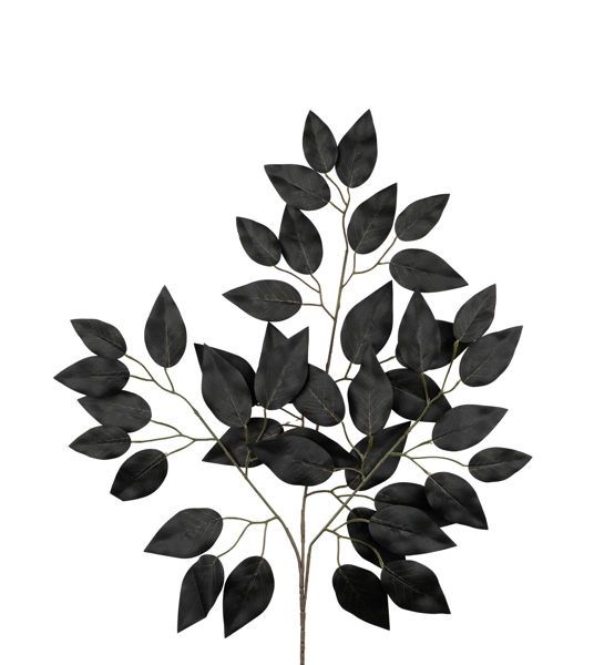 23&quot; Ficus Spray w/42 Leaves  Black
