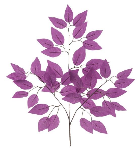 23&quot; Ficus Spray w/42 Leaves Plum