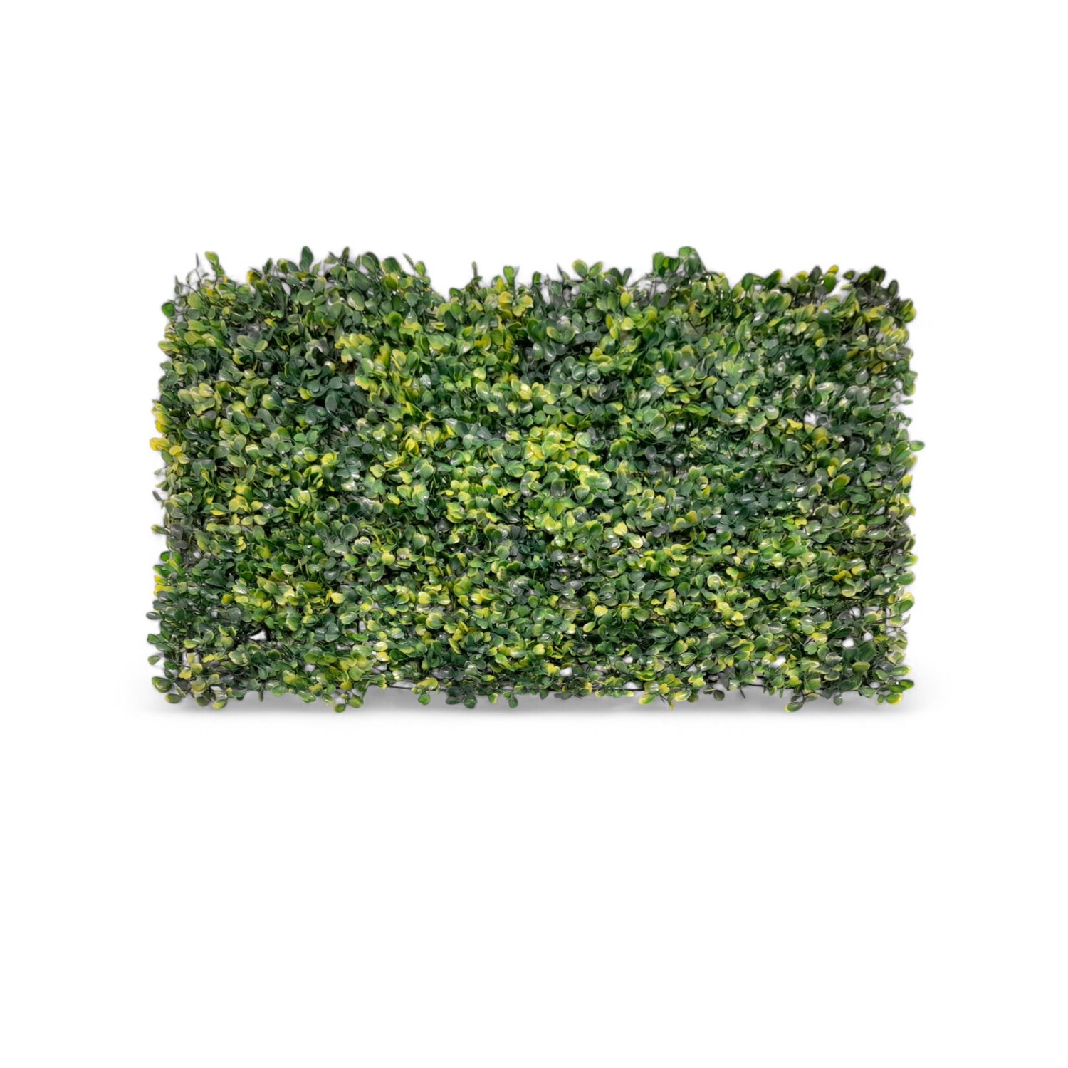 17&quot;x 24&quot; Boxwood Foliage Panel Two Toned Green