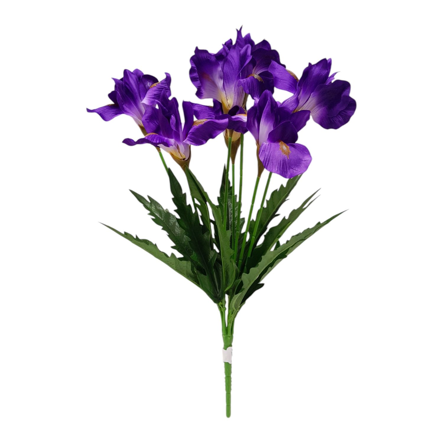 19" Iris Bush x7 Purple