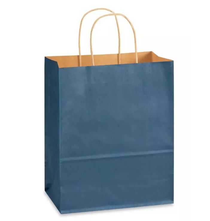8&quot;x4.5&quot;x10.25&quot; Paper Gift Bag Navy