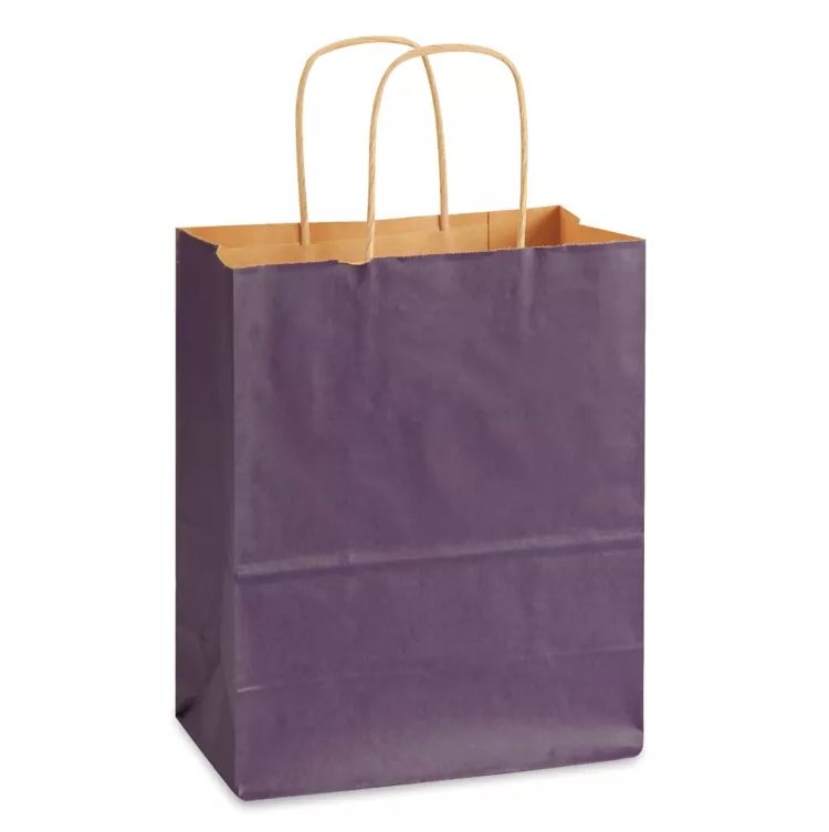 8&quot;x4.5&quot;x10.25&quot; Paper Gift Bag Purple