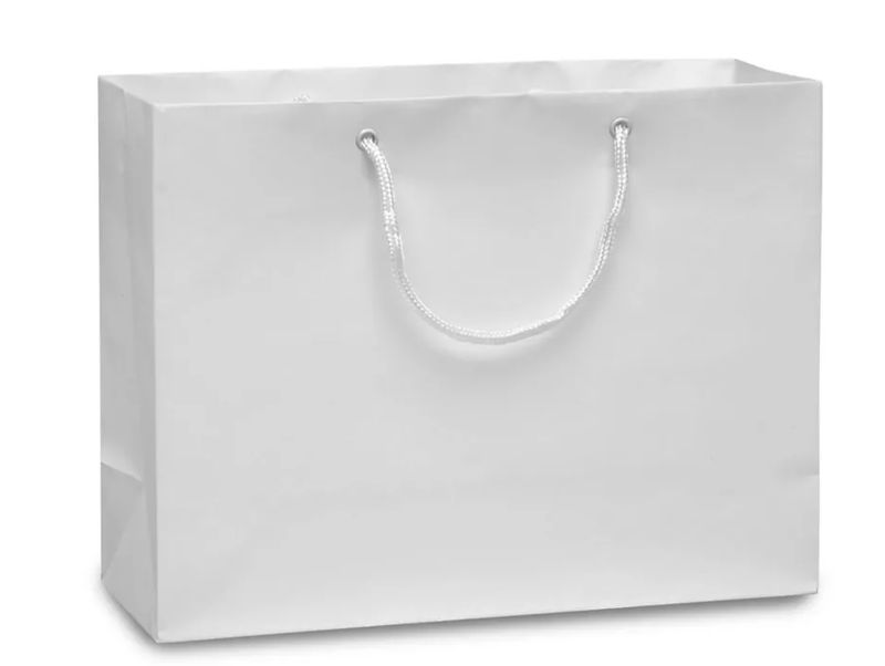 13&quot;x5&quot;x10&quot; Matte Bag White
