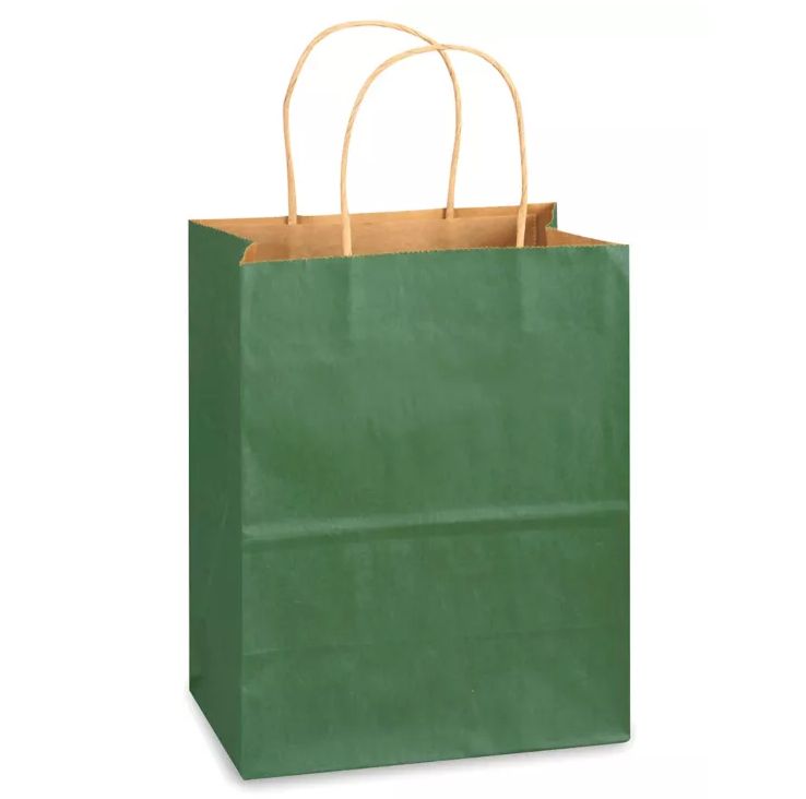 8&quot;x4.5&quot;x10.25&quot; Paper Gift Bag Green