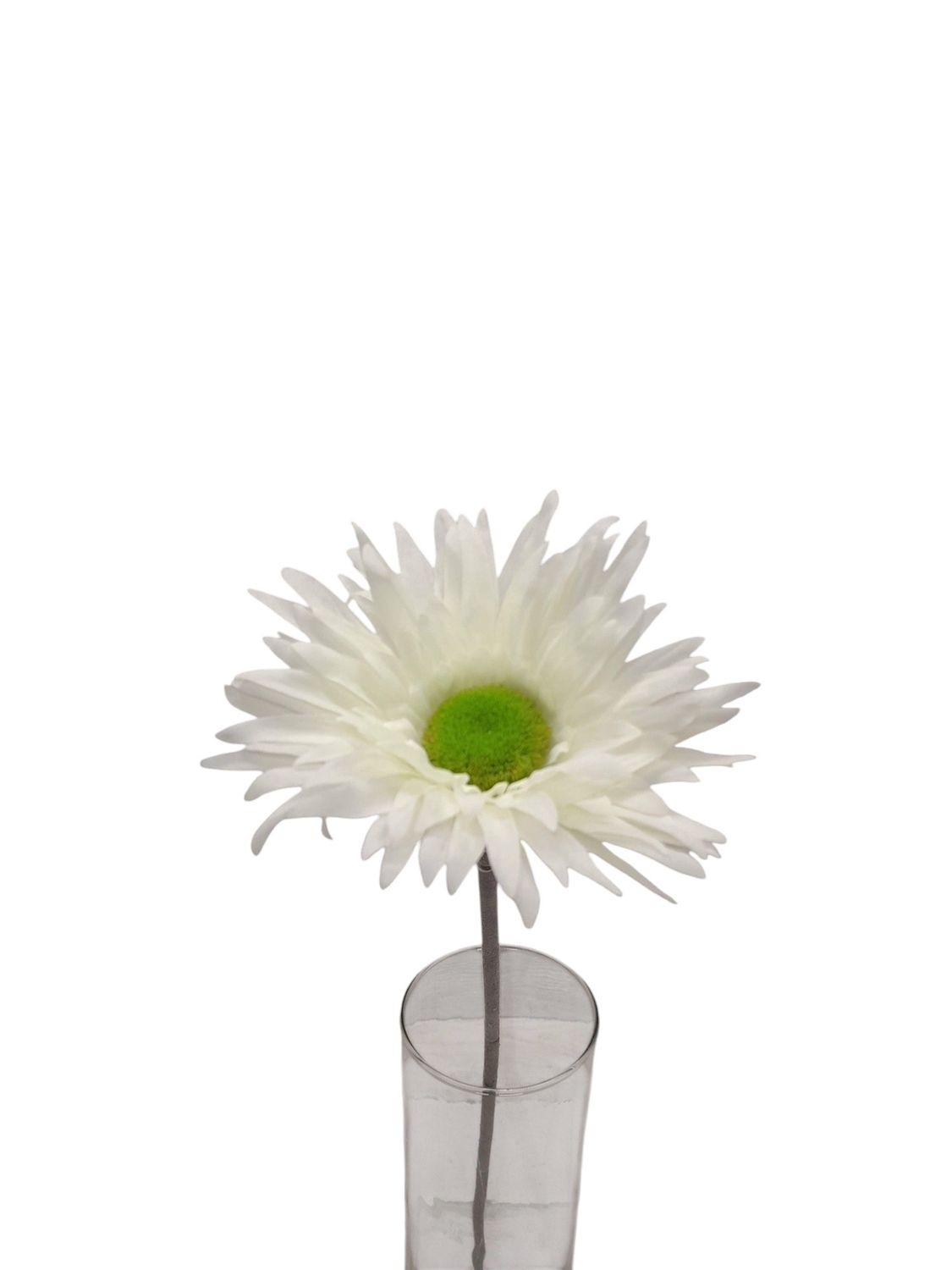 24&quot; Gerbera Daisy Stem Cream
