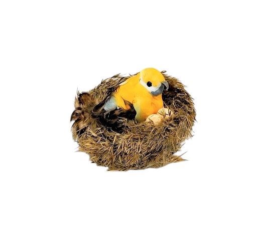 1pc 3.5&quot; Bird w/Nest Assorted