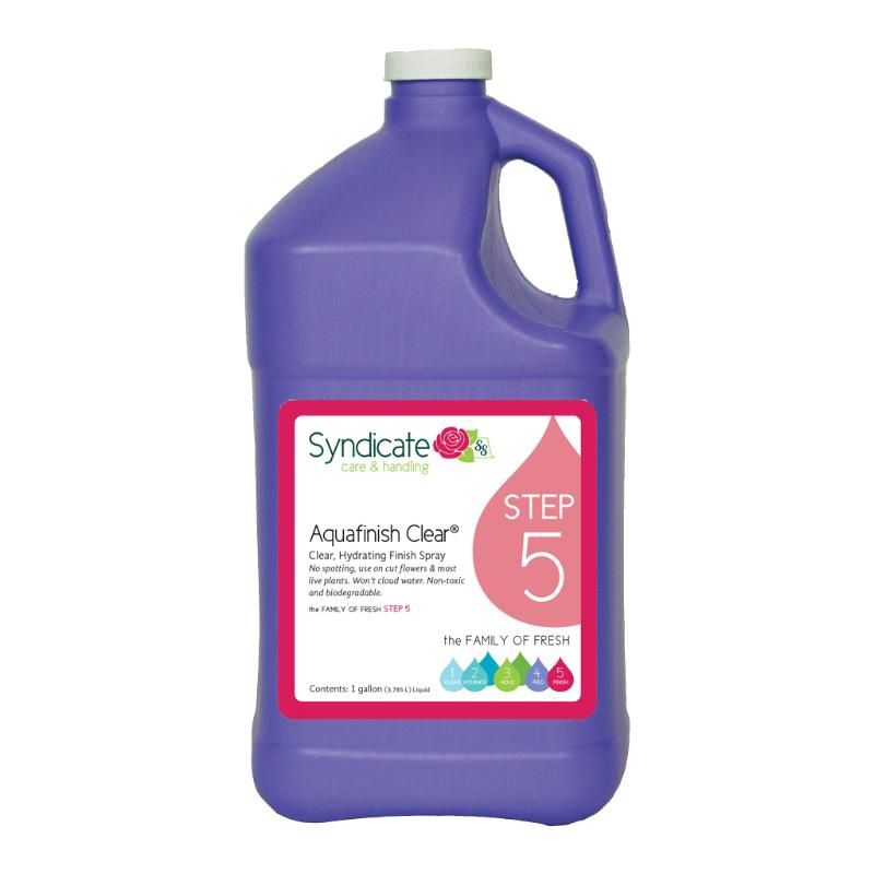 1 Gallon Aqua Finish Clear