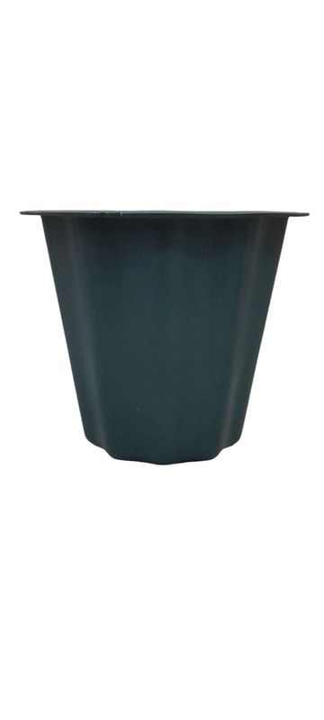 The Versatile 6 ″ Container Green (Plastic)
