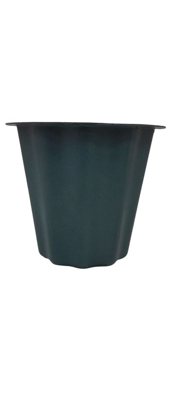 The Versatile 6 1/2&quot; Container Green (Plastic)