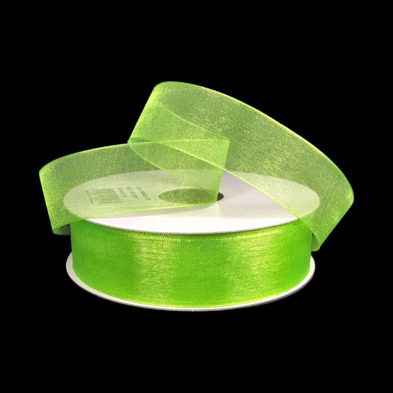 7/8&quot;x25yd Organza Ribbon Kiwi