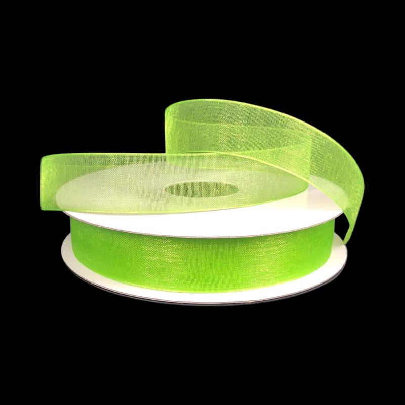 5/8&quot;x25yd Organza Ribbon Kiwi