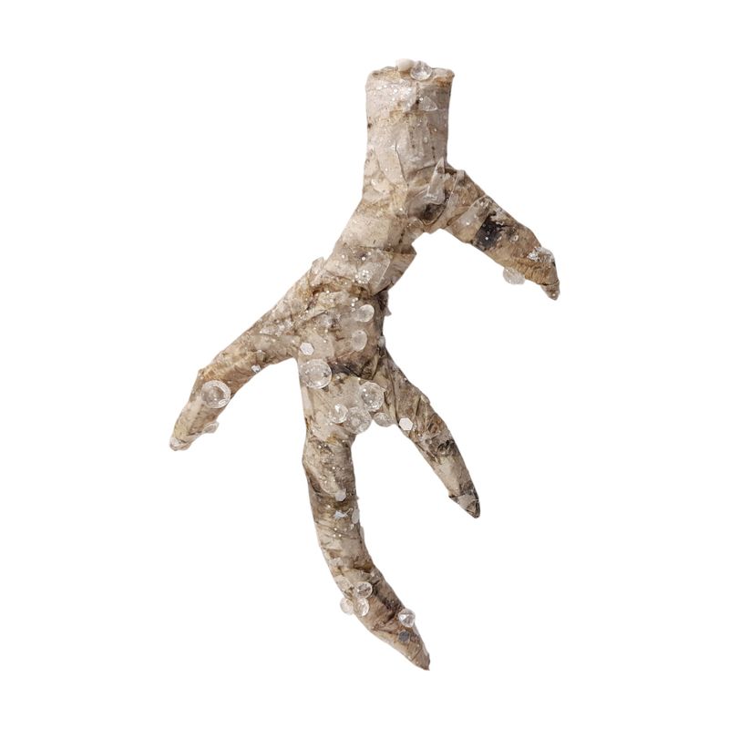 0.6&quot;x3.25&quot;x5.5&quot; Rustic Iced Antler Ornament
