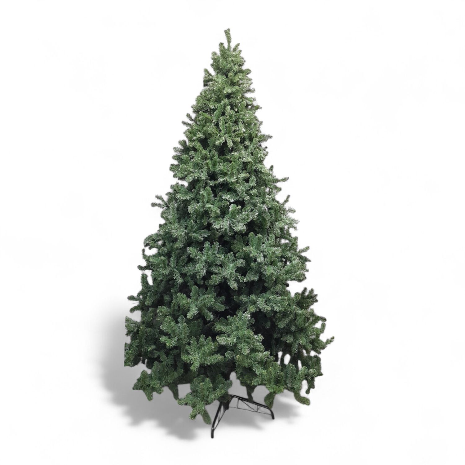 *12' Full Colorado Spruce Tree