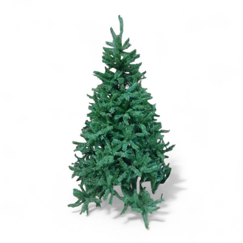 7.5&#39; Full Carolina Spruce Tree