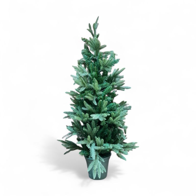 4&#39; Frasier Fir Tree Green in a Plastic Green Pot