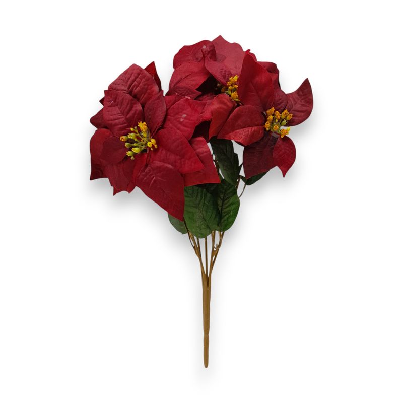 20&quot; Micropeach Poinsettia Bush x5 w/6&quot;-7&quot; Heads Burgundy