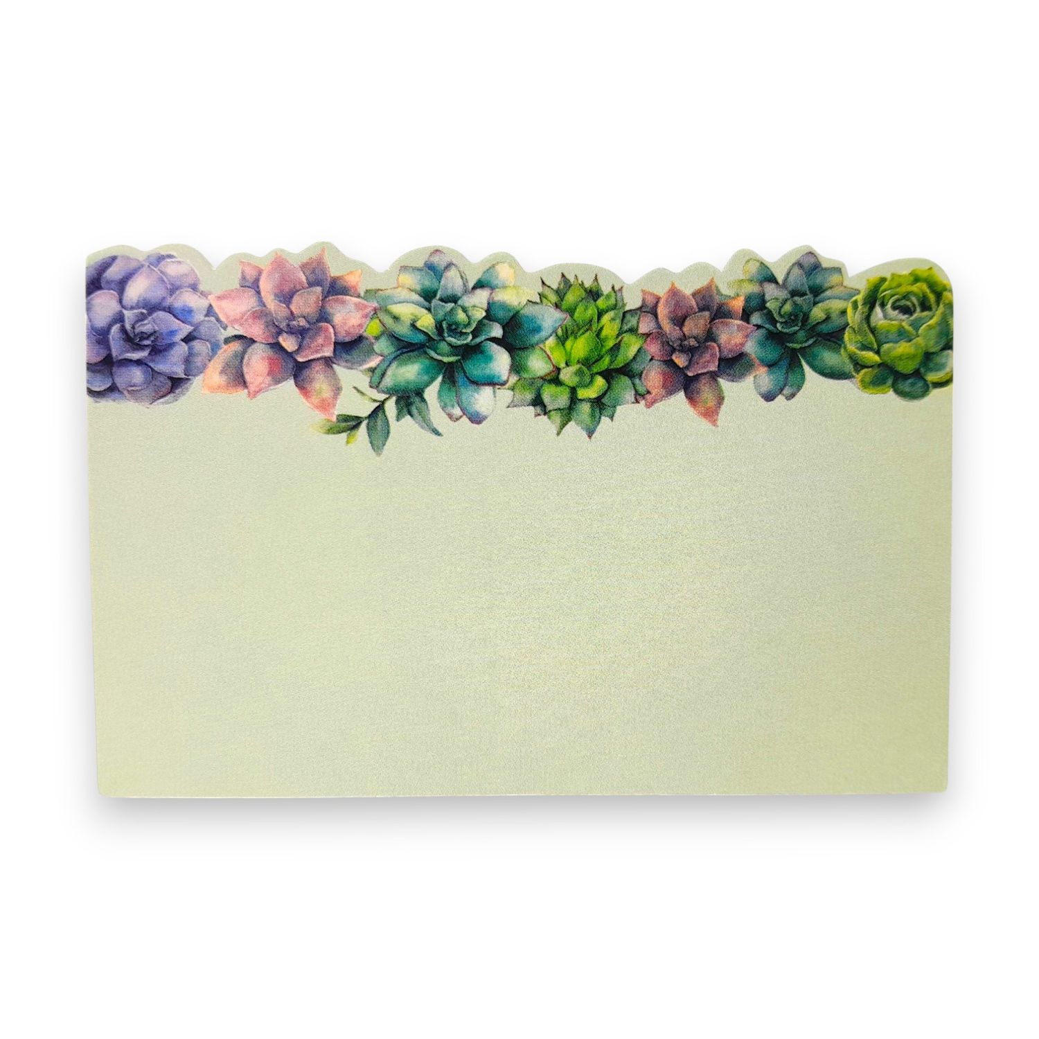 50pc 3.5&quot;x2.25&quot; Enclosure Cards Succulents